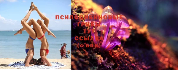 амф Заводоуковск
